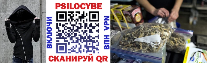 купить  сайты  omg   Галлюциногенные грибы прущие грибы  Омск 